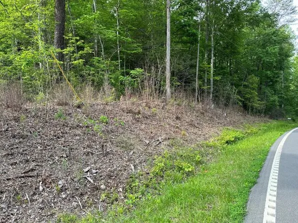 S Highway 32, Cosby, TN 37722