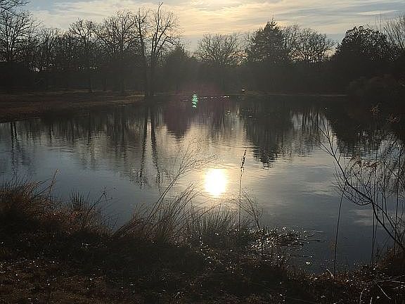 5th image of 65 Pickle Ln