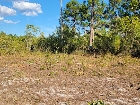 4th image of Lot 0 Moores Swamp Road