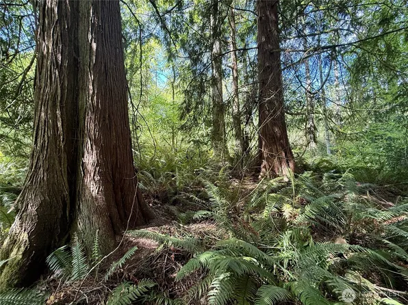 5162 Phillips Road SE, Port Orchard, WA 98367