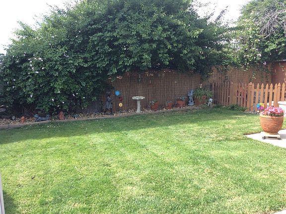 back yard great for kids