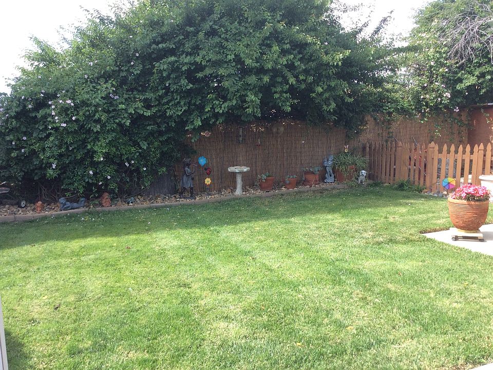 back yard great for kids