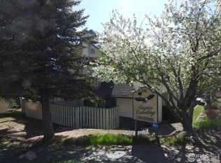 1010 S Saint Vrain Ave UNIT A2, Estes Park, CO 80517