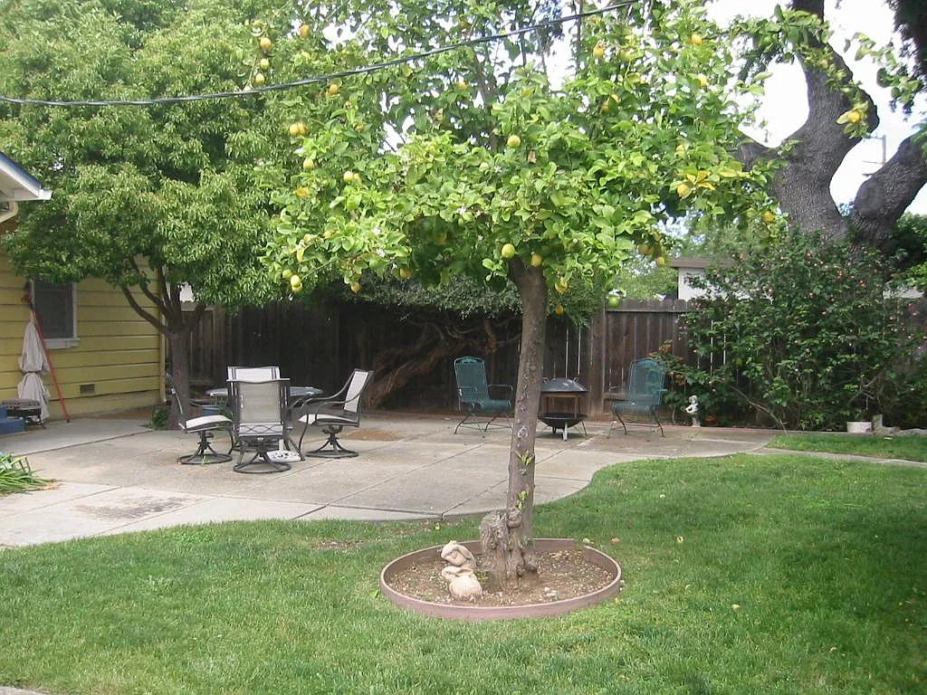 2 bed, 1000 sqft, $2,850 — Photo 3