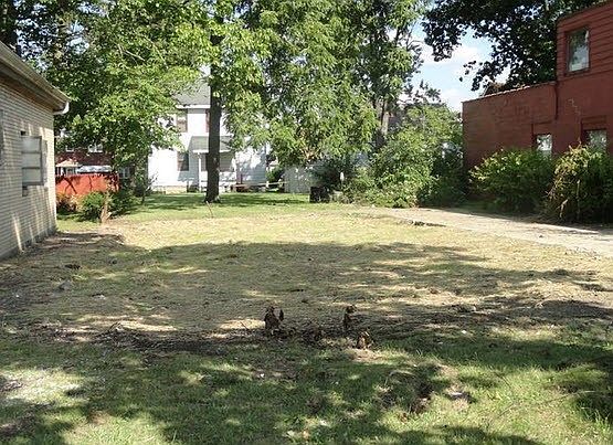 1st image of 3623 South Ave