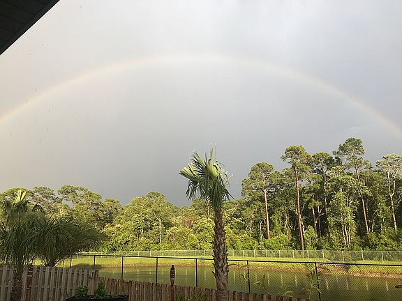 Backyard Left