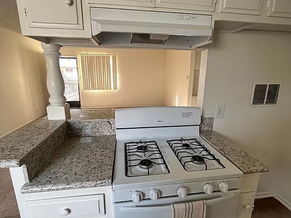 Brand new stove and hood.