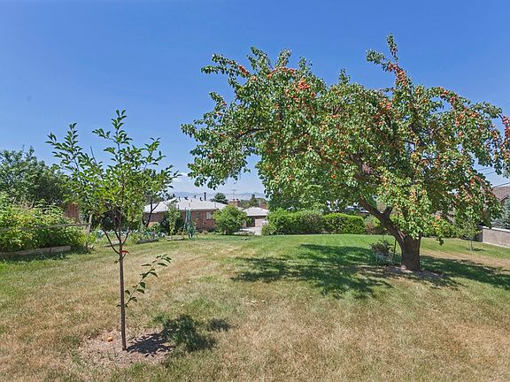 5th image of 2873 E Carole Dr