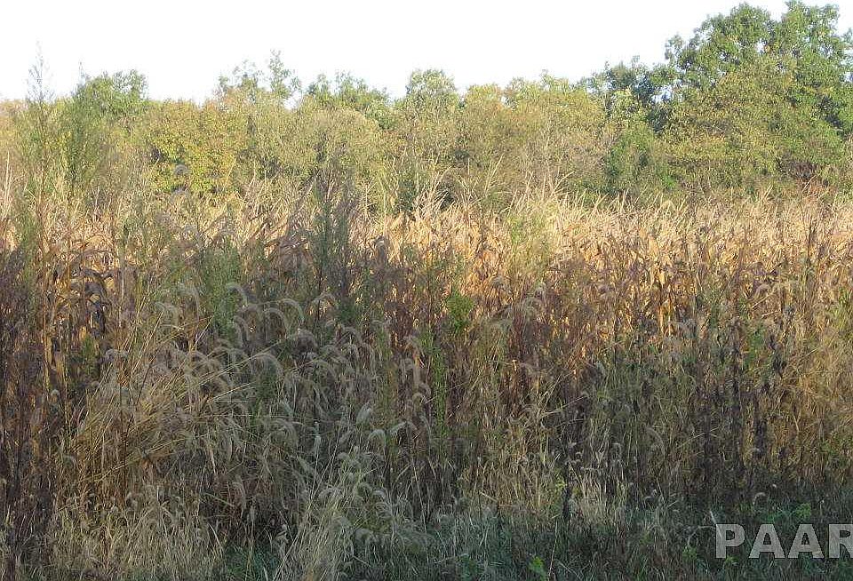 2nd image of 1200 Champaign Rd