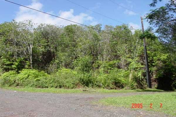 1st image of Thorne St Lot 1