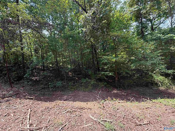 5th image of 33 & 34 Woodfern Dr