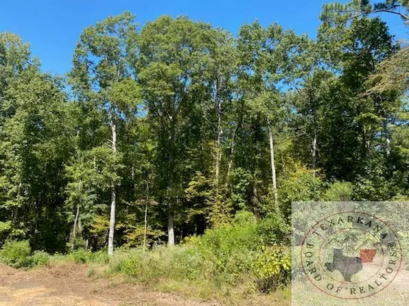 325/MILLER County Rd, Doddridge, AR 71834