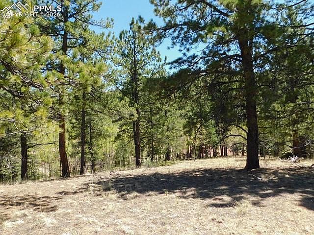 1st image of 51 Mariposa Dr