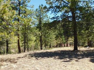 51 Mariposa Dr, Cripple Creek, CO 80813