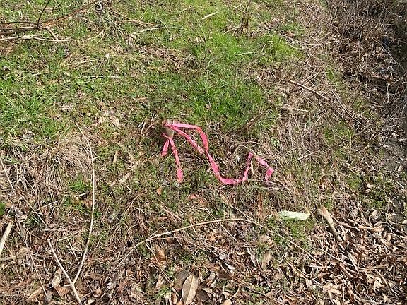 4th image of 0 S Chattanooga St Tract 4