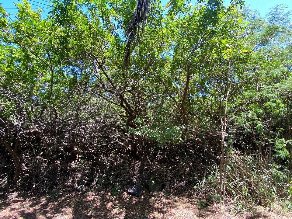 2nd image of Palaoa Rd Lot 28