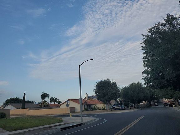 4th image of 505 Celebration Ln