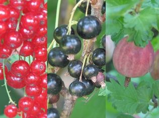 29308 Glencastle Dr, Farmington Hills, MI 48336