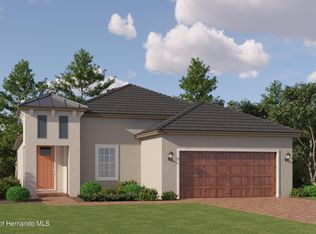 16970 Warm Hand Ct, Land O Lakes, FL 34638