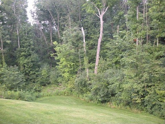 3rd image of 10741 Shadywood Dr