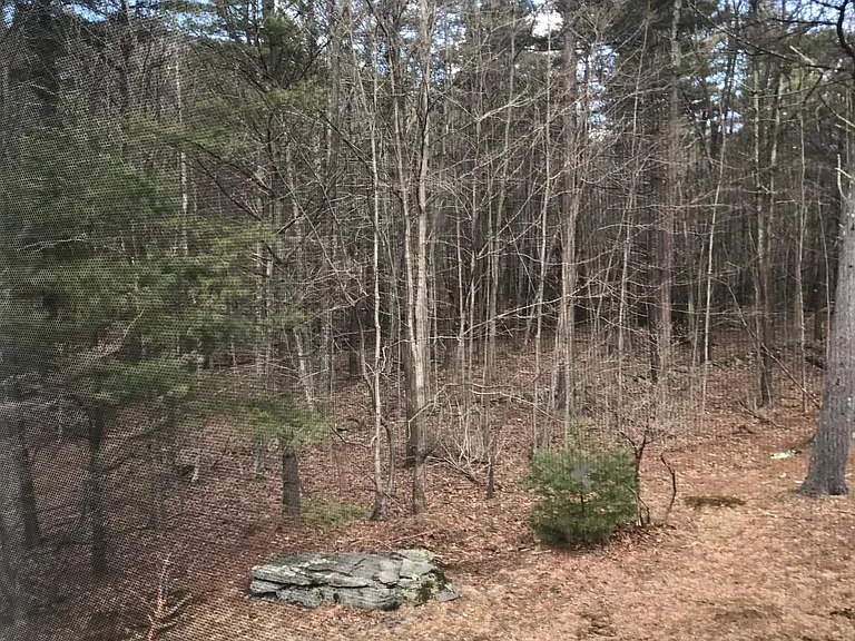 51 Saugerties Rd — Photo 31