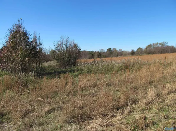 8.8 Rice Mill Rd, Albertville, AL 35951