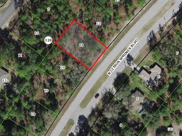9194 N Citrus Springs Blvd, Citrus Springs, FL 34433