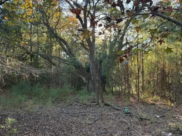 3389 Gainer Rd, Chipley, FL 32428