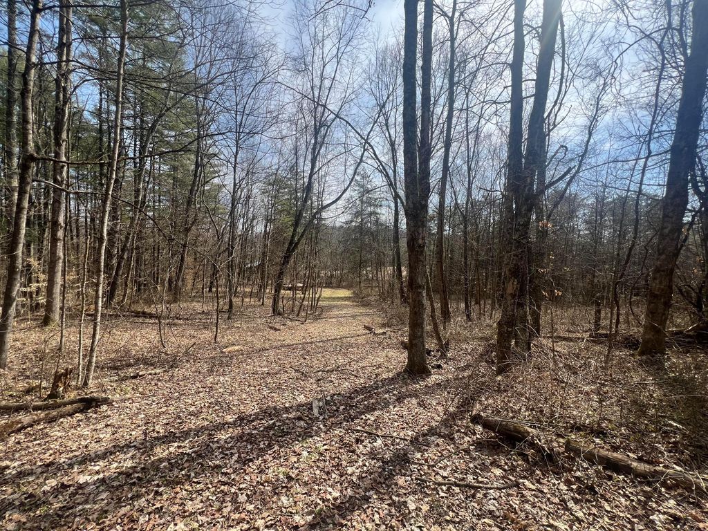 Real estate listing image