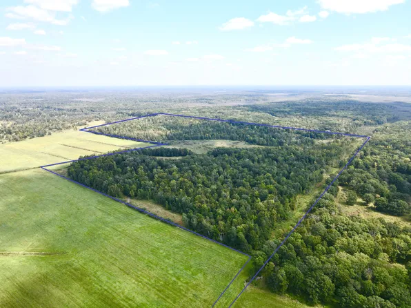 129AC 425th Ave, Hillman, MN 56338