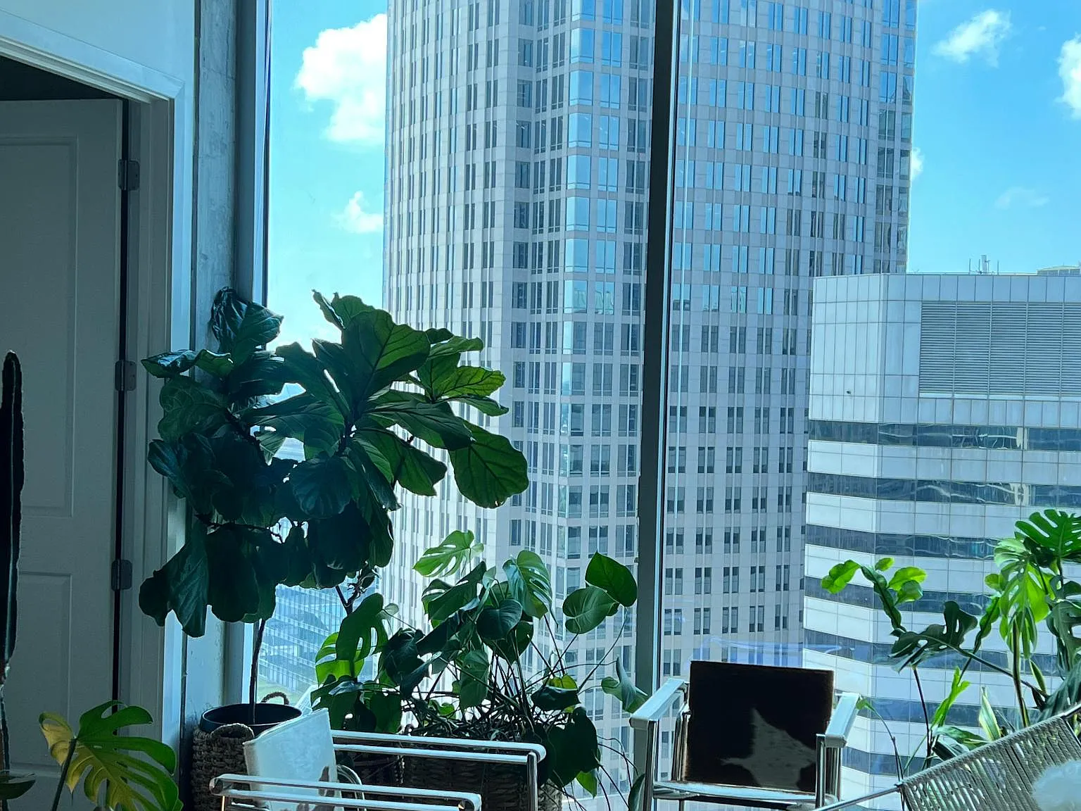 1 bed, 702 sqft, $1,850 — Photo 4