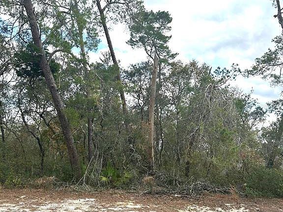 4th image of 0 Marion Oaks Golf Rd #28