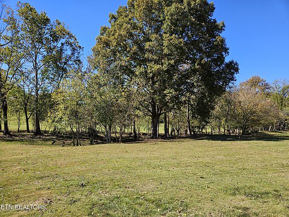 5th image of Alvin Ln