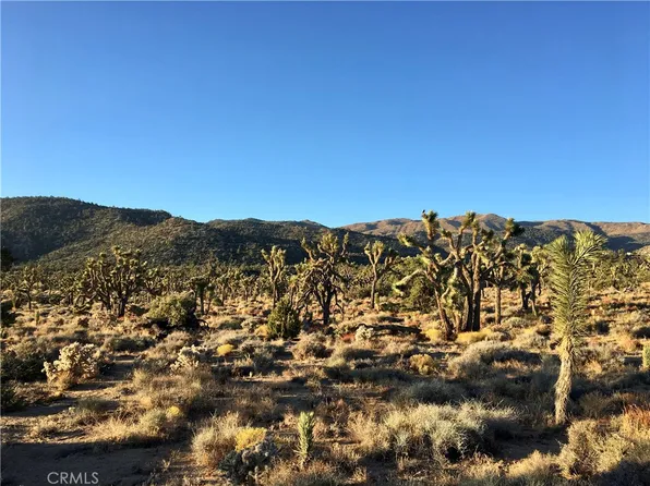 0 Vista Rd, Lucerne Valley, CA 92356