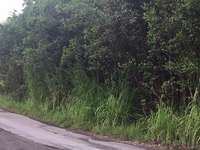 1st image of Road 1 Uhini Ana Lot 2550
