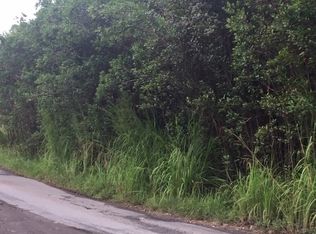 Road 1 Uhini Ana LOT 2550, Mountain View, HI 96771