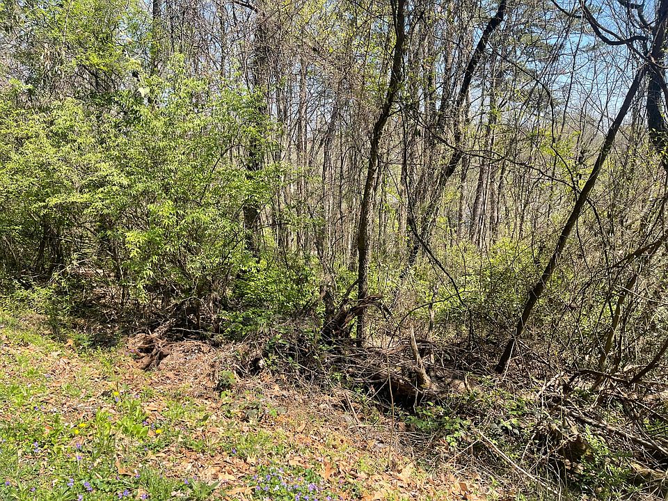 2nd image of 0 Georgia Ter