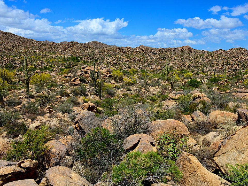 1st image of 1455 W Tortolita Mountain Cir