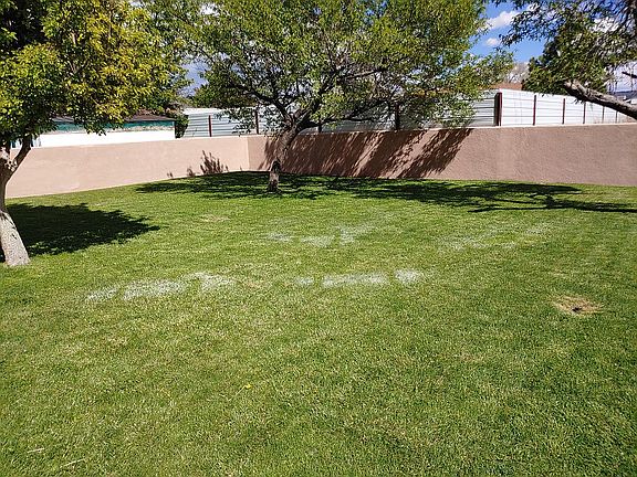 Large fenced backyard 