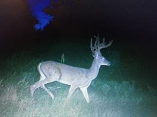5th image of 0 E 1410th Rd Lot 1