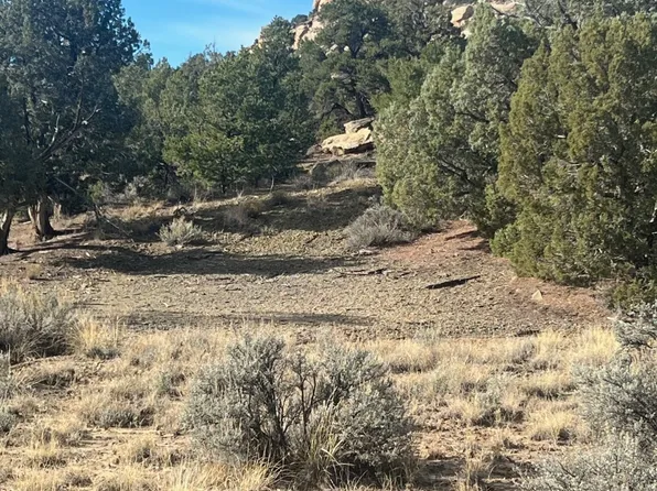 0 Navajo City Acres, Blanco, NM 87412