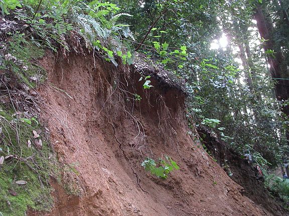 Collapsing Embankments