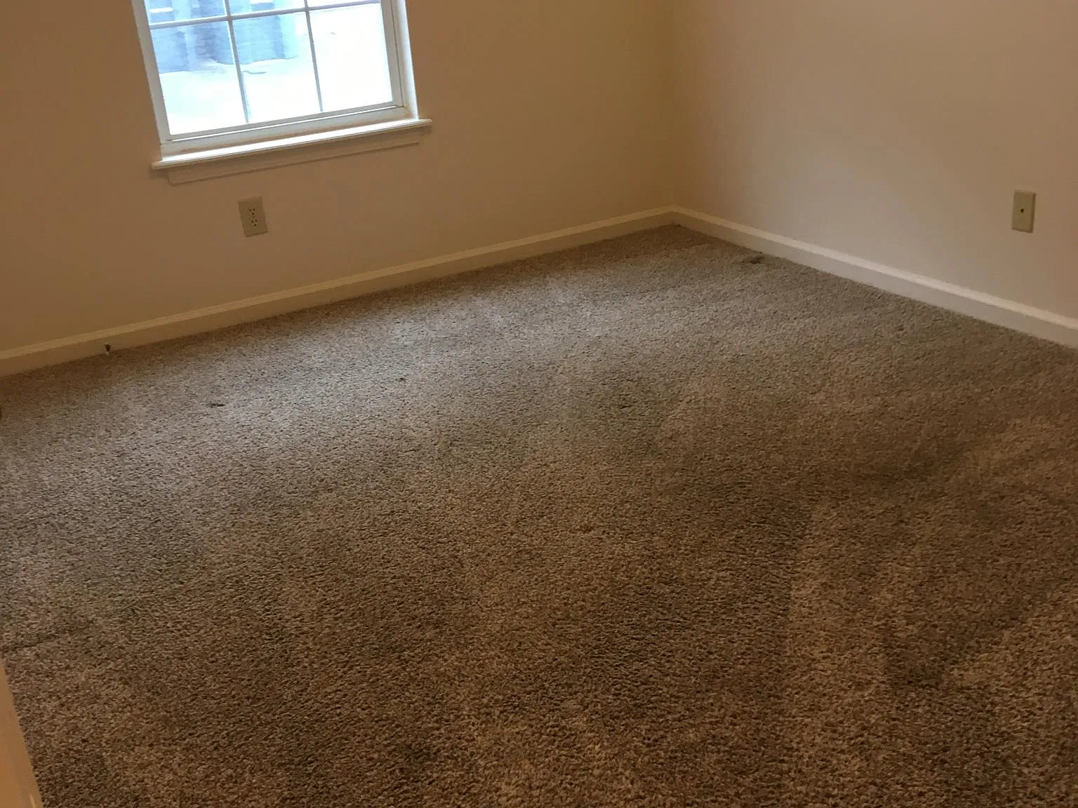 2 bed, 1.5 bath, 924 sqft, $1,200 — Photo 4