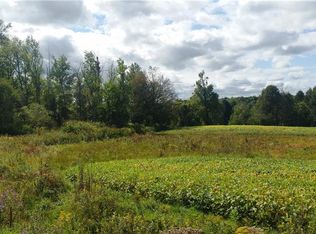 292 Rochester St, Hannibal, NY 13074