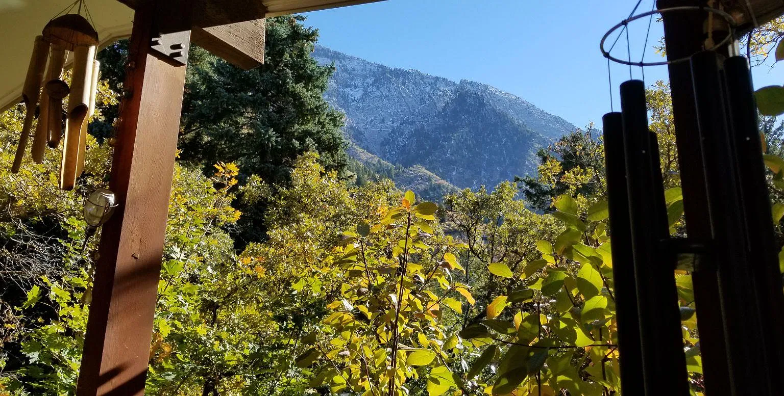 2 bed, 1700 sqft, $1,900 — Photo 3
