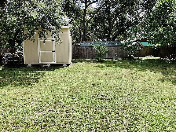 shed and back yard