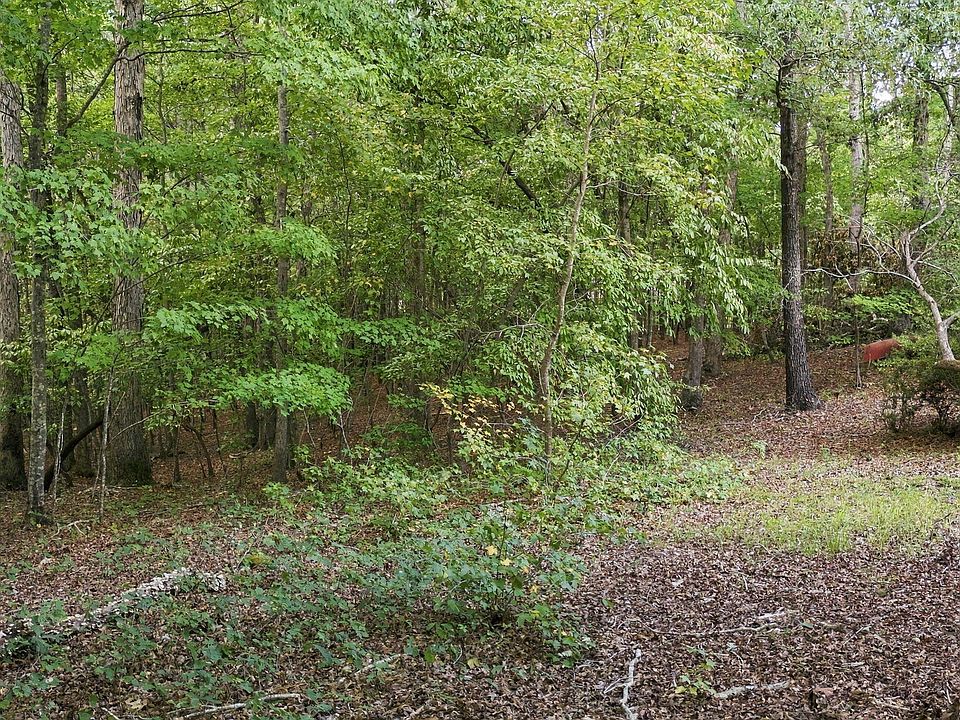 2nd image of 0 Rollins Mill Rd Lot 8