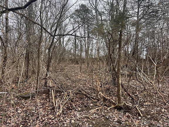 4th image of 190 Harvieland Rd