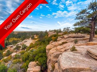 6581 Lost Canyon Ranch Rd, Castle Rock, CO 80104