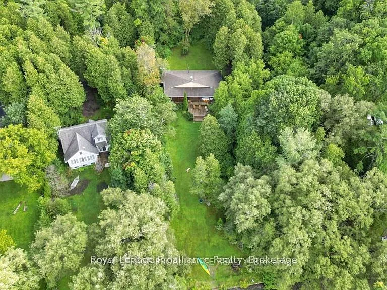 14246 Little Lake Rd — Photo 46